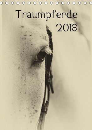 Traumpferde 2018 (Tischkalender 2018 DIN A5 hoch) von vdp-fotokunst.de