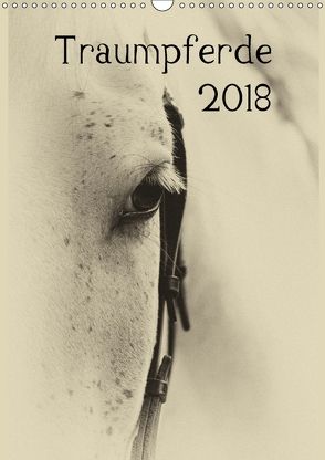 Traumpferde 2018 (Wandkalender 2018 DIN A3 hoch) von vdp-fotokunst.de