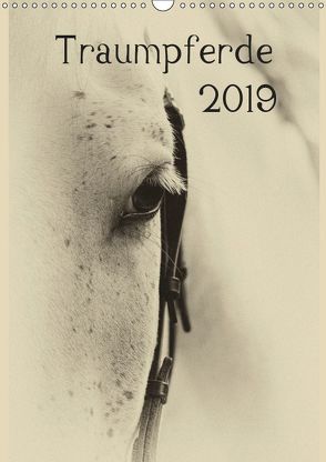 Traumpferde 2019 (Wandkalender 2019 DIN A3 hoch) von vdp-fotokunst.de