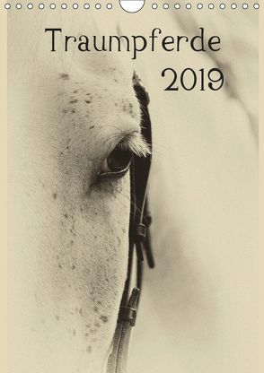 Traumpferde 2019 (Wandkalender 2019 DIN A4 hoch) von vdp-fotokunst.de