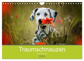 Traumschnauzen (Wandkalender 2024 DIN A4 quer), CALVENDO Monatskalender von Dzierzawa,  Judith