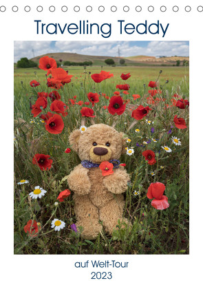 Travelling Teddy auf Welt-Tour (Tischkalender 2023 DIN A5 hoch) von Kneidinger,  Christian