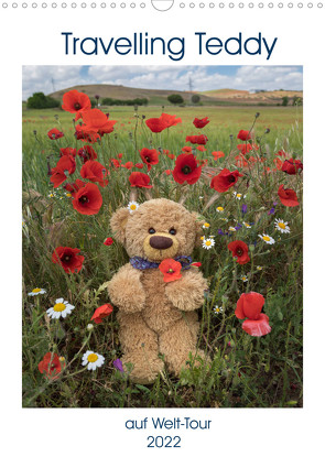 Travelling Teddy auf Welt-Tour (Wandkalender 2022 DIN A3 hoch) von Kneidinger,  Christian