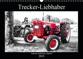 Trecker-Liebhaber (Wandkalender 2019 DIN A3 quer) von Dreegmeyer,  Andrea