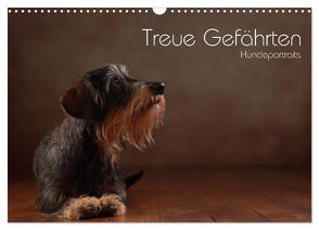 Treue Gefährten – Hundeportraits (Wandkalender 2024 DIN A3 quer), CALVENDO Monatskalender von Behr,  Jana