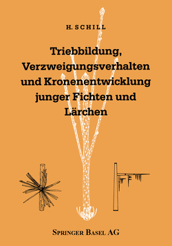 Triebbildung, Verzweigungsverhalten und Kronenentwicklung junger Fichten und Lärchen von Schill,  Harald, Schütt,  Peter