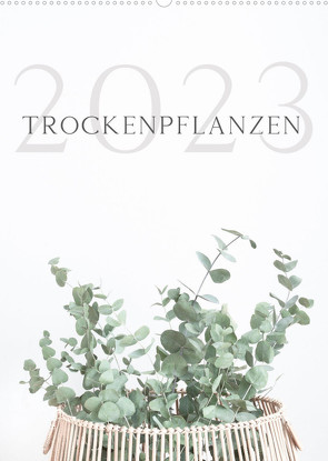 Trockenpflanzen (Wandkalender 2023 DIN A2 hoch) von Iliev,  Maria