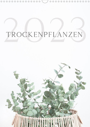 Trockenpflanzen (Wandkalender 2023 DIN A3 hoch) von Iliev,  Maria