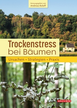 Trockenstress bei Bäumen von Roloff (Hg.),  Andreas