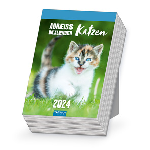 Trötsch Abreißkalender Katzen 2024 von Trötsch Verlag GmbH & Co. KG