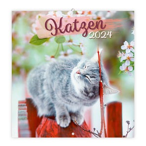 Trötsch Broschürenkalender Katzen 2024 von Trötsch Verlag GmbH & Co. KG