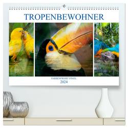 Tropenbewohner – farbenfrohe Vögel (hochwertiger Premium Wandkalender 2024 DIN A2 quer), Kunstdruck in Hochglanz von Brunner-Klaus,  Liselotte