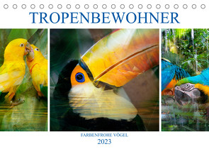 Tropenbewohner – farbenfrohe Vögel (Tischkalender 2023 DIN A5 quer) von Brunner-Klaus,  Liselotte