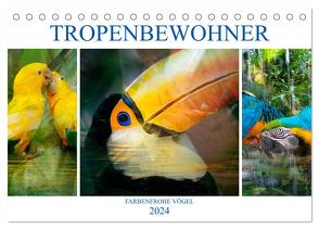 Tropenbewohner – farbenfrohe Vögel (Tischkalender 2024 DIN A5 quer), CALVENDO Monatskalender von Brunner-Klaus,  Liselotte