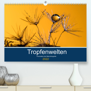 Tropfenwelten; Faszination der Makrofotografie (Premium, hochwertiger DIN A2 Wandkalender 2022, Kunstdruck in Hochglanz) von Jachalke,  Doris