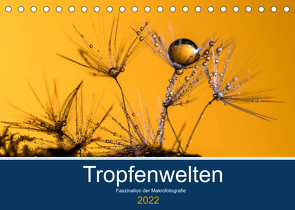 Tropfenwelten; Faszination der Makrofotografie (Tischkalender 2022 DIN A5 quer) von Jachalke,  Doris