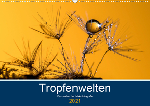 Tropfenwelten; Faszination der Makrofotografie (Wandkalender 2021 DIN A2 quer) von Jachalke,  Doris