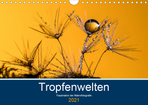 Tropfenwelten; Faszination der Makrofotografie (Wandkalender 2021 DIN A4 quer) von Jachalke,  Doris