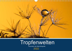 Tropfenwelten; Faszination der Makrofotografie (Wandkalender 2022 DIN A3 quer) von Jachalke,  Doris