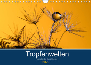 Tropfenwelten; Faszination der Makrofotografie (Wandkalender 2022 DIN A4 quer) von Jachalke,  Doris