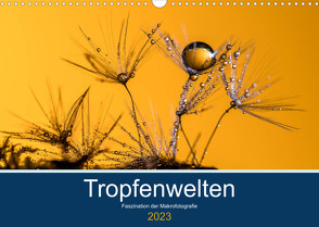 Tropfenwelten; Faszination der Makrofotografie (Wandkalender 2023 DIN A3 quer) von Jachalke,  Doris