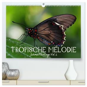 Tropische Melodie – Schmetterlinge Vol.2 (hochwertiger Premium Wandkalender 2024 DIN A2 quer), Kunstdruck in Hochglanz von Photon (Veronika Verenin),  Vronja