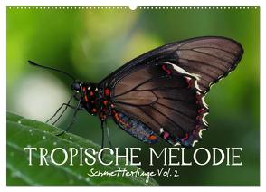 Tropische Melodie – Schmetterlinge Vol.2 (Wandkalender 2024 DIN A2 quer), CALVENDO Monatskalender von Photon (Veronika Verenin),  Vronja