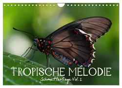 Tropische Melodie – Schmetterlinge Vol.2 (Wandkalender 2024 DIN A4 quer), CALVENDO Monatskalender von Photon (Veronika Verenin),  Vronja