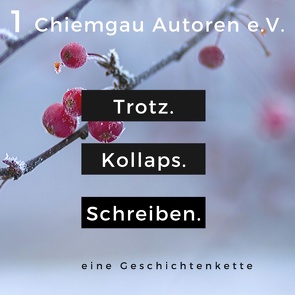 Trotz. Kollaps. Schreiben. von Chiemgau-Autoren,  Literaturverein