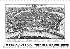 TU FELIX AUSTRIA – Wien in alten AnsichtenAT-Version (Wandkalender 2022 DIN A3 quer) von Liepke,  Claus