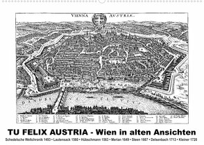 TU FELIX AUSTRIA – Wien in alten AnsichtenAT-Version (Wandkalender 2023 DIN A2 quer) von Liepke,  Claus