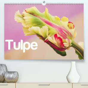 Tulpe (Premium, hochwertiger DIN A2 Wandkalender 2020, Kunstdruck in Hochglanz) von JUSTART