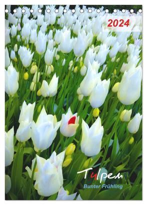 Tulpen. Bunter Frühling (Tischkalender 2024 DIN A5 hoch), CALVENDO Monatskalender von Kareva,  Eugeniya