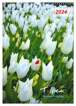 Tulpen. Bunter Frühling (Wandkalender 2024 DIN A3 hoch), CALVENDO Monatskalender von Kareva,  Eugeniya