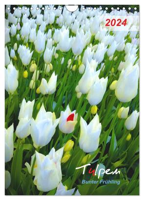 Tulpen. Bunter Frühling (Wandkalender 2024 DIN A4 hoch), CALVENDO Monatskalender von Kareva,  Eugeniya