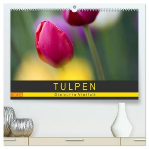 Tulpen – die bunte Vielfalt (hochwertiger Premium Wandkalender 2024 DIN A2 quer), Kunstdruck in Hochglanz von Schürholz,  Peter