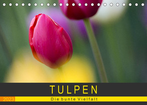 Tulpen – die bunte Vielfalt (Tischkalender 2023 DIN A5 quer) von Schürholz,  Peter