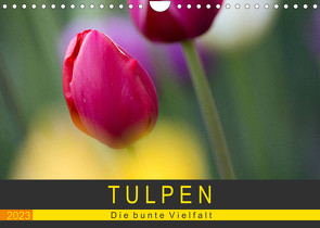 Tulpen – die bunte Vielfalt (Wandkalender 2023 DIN A4 quer) von Schürholz,  Peter