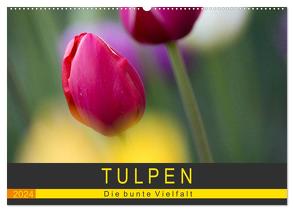 Tulpen – die bunte Vielfalt (Wandkalender 2024 DIN A2 quer), CALVENDO Monatskalender von Schürholz,  Peter