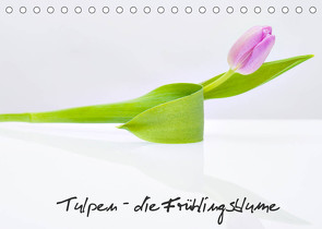 Tulpen – die Frühlingsblume (Tischkalender 2022 DIN A5 quer) von Immephotography