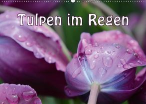 Tulpen im Regen (Wandkalender 2018 DIN A2 quer) von GUGIGEI