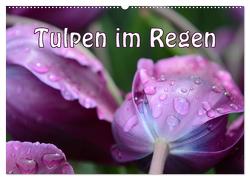 Tulpen im Regen (Wandkalender 2024 DIN A2 quer), CALVENDO Monatskalender von GUGIGEI,  GUGIGEI