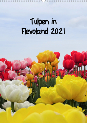 Tulpen in Flevoland (Wandkalender 2021 DIN A2 hoch) von Konkel,  Christine