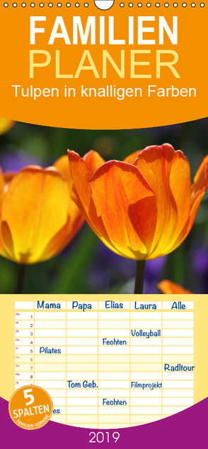 Tulpen in knalligen Farben – Familienplaner hoch (Wandkalender 2019 , 21 cm x 45 cm, hoch) von SchnelleWelten