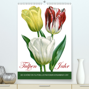 Tulpen – Jahr (Premium, hochwertiger DIN A2 Wandkalender 2021, Kunstdruck in Hochglanz) von bilwissedition.com Layout: Babette Reek,  Bilder: