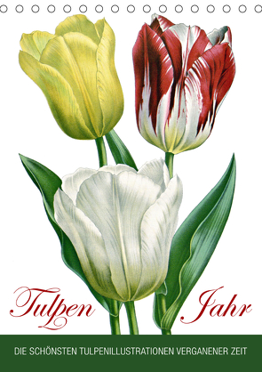 Tulpen – Jahr (Tischkalender 2021 DIN A5 hoch) von bilwissedition.com Layout: Babette Reek,  Bilder: