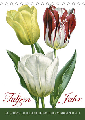 Tulpen – Jahr (Tischkalender 2022 DIN A5 hoch) von bilwissedition.com Layout: Babette Reek,  Bilder: