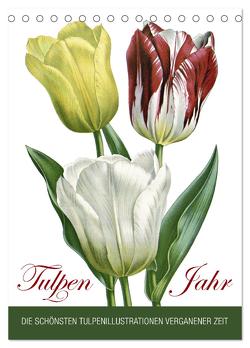 Tulpen – Jahr (Tischkalender 2024 DIN A5 hoch), CALVENDO Monatskalender von bilwissedition.com Layout: Babette Reek,  Bilder: