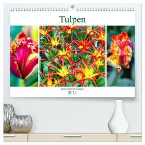 Tulpen – kunterbunte Collagen (hochwertiger Premium Wandkalender 2024 DIN A2 quer), Kunstdruck in Hochglanz von Schwarze,  Nina