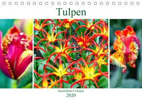 Tulpen – kunterbunte Collagen (Tischkalender 2020 DIN A5 quer) von Schwarze,  Nina